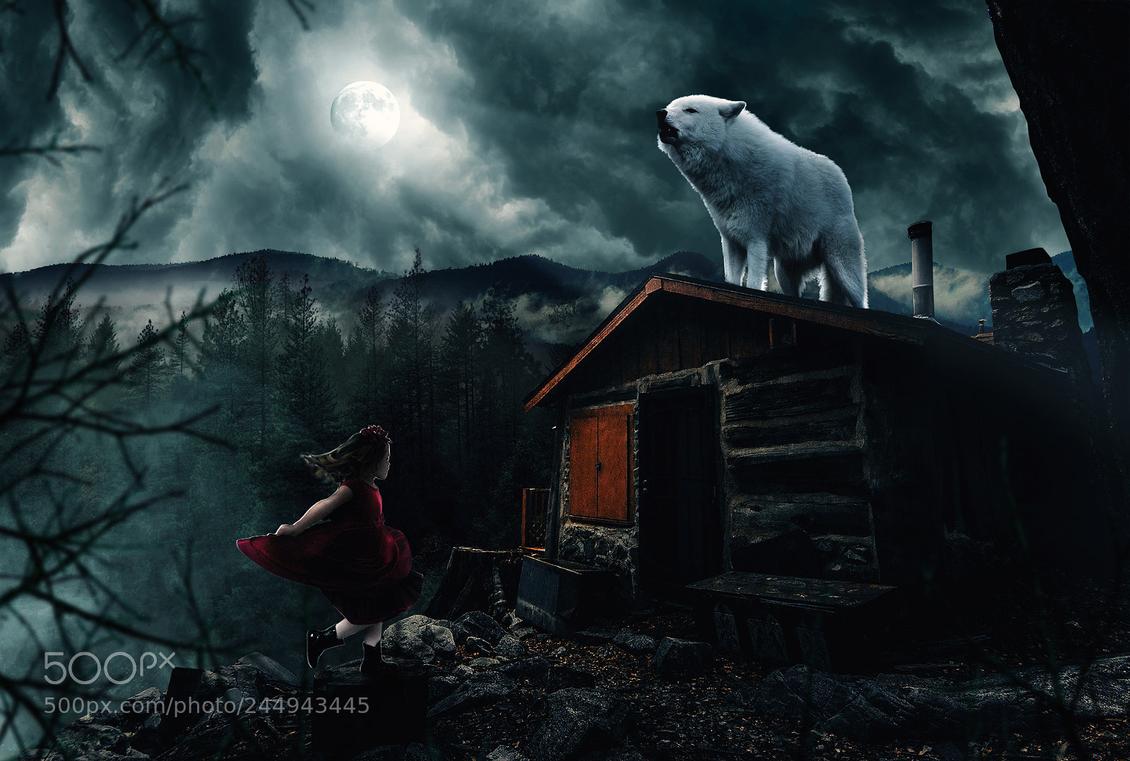 Nikon D610 sample photo. Little red riding hood photography