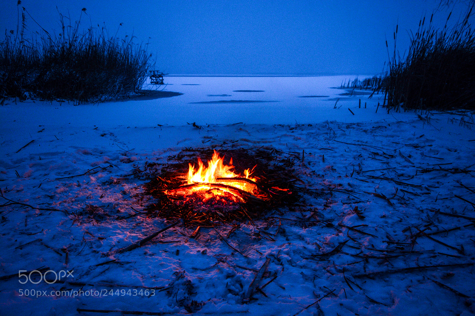 Nikon D7100 sample photo. долгожданный костёр photography