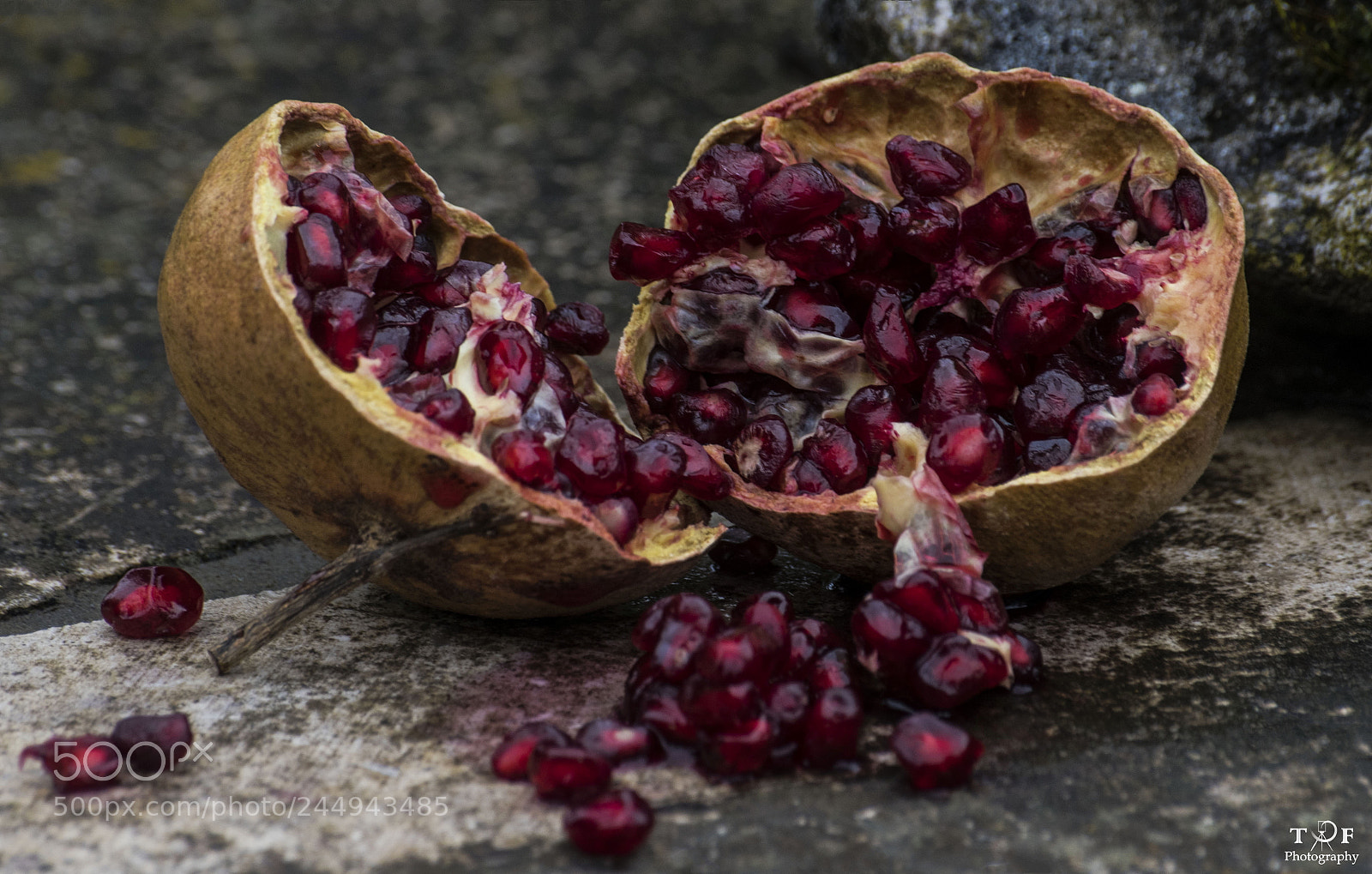 Nikon D500 sample photo. Nature morte... photography