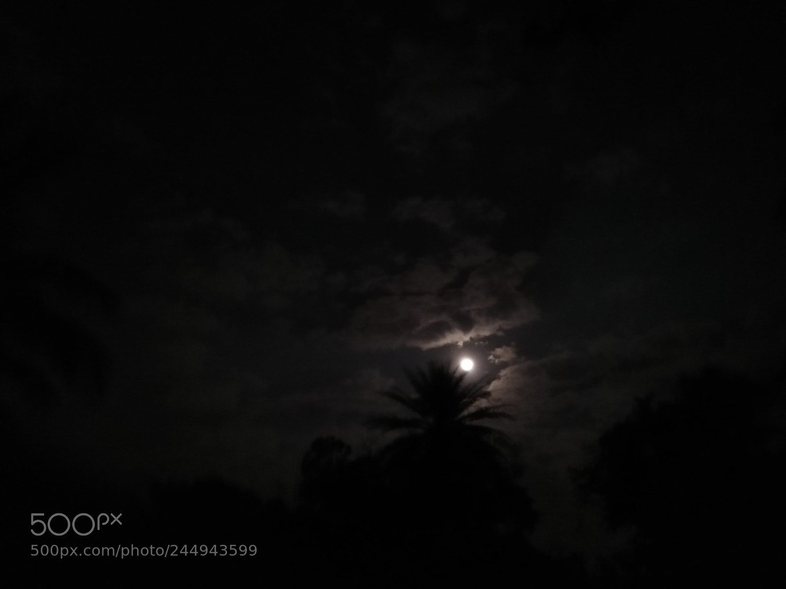 OPPO A37fw-International sample photo. Untitled photography