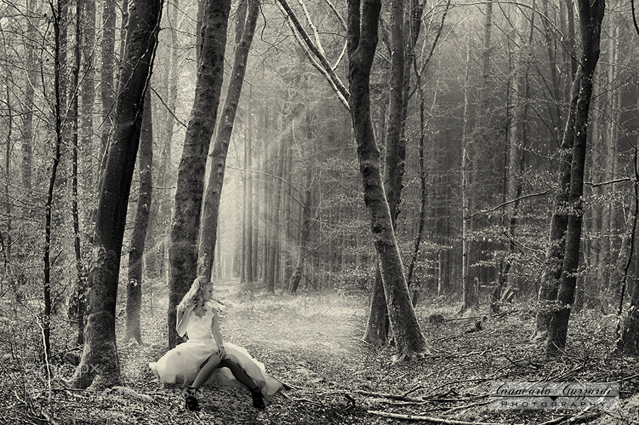 Nikon D7100 sample photo. Light in the forest photography