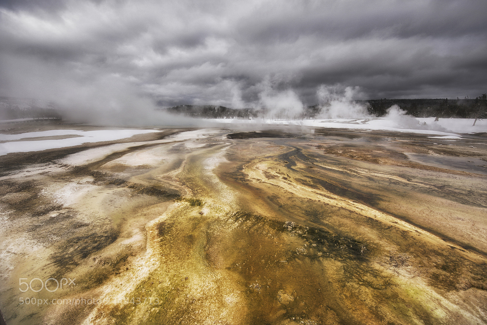 Nikon D810 sample photo. Winter in yellowstone seven photography