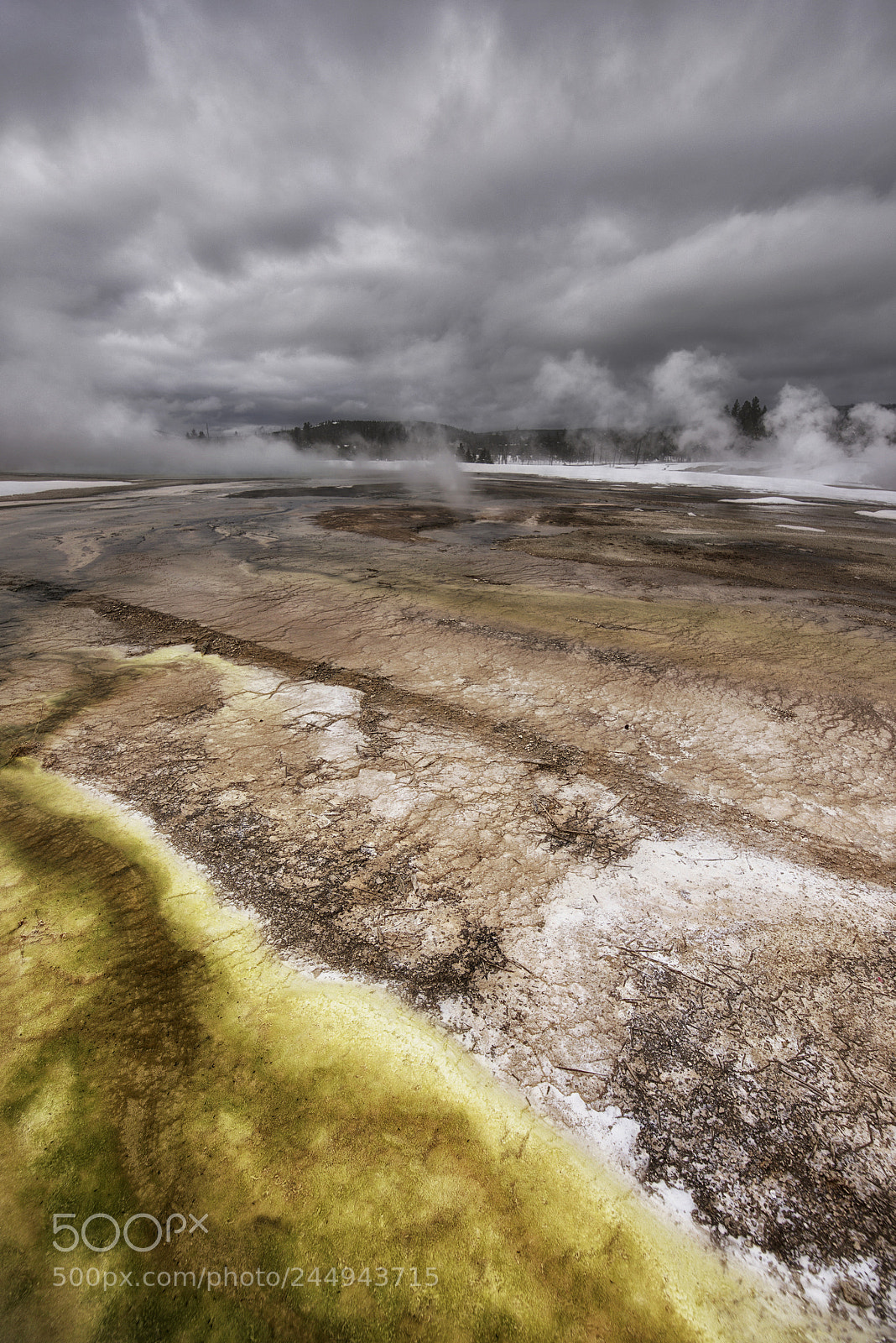 Nikon D810 sample photo. Winter in yellowstone seven photography