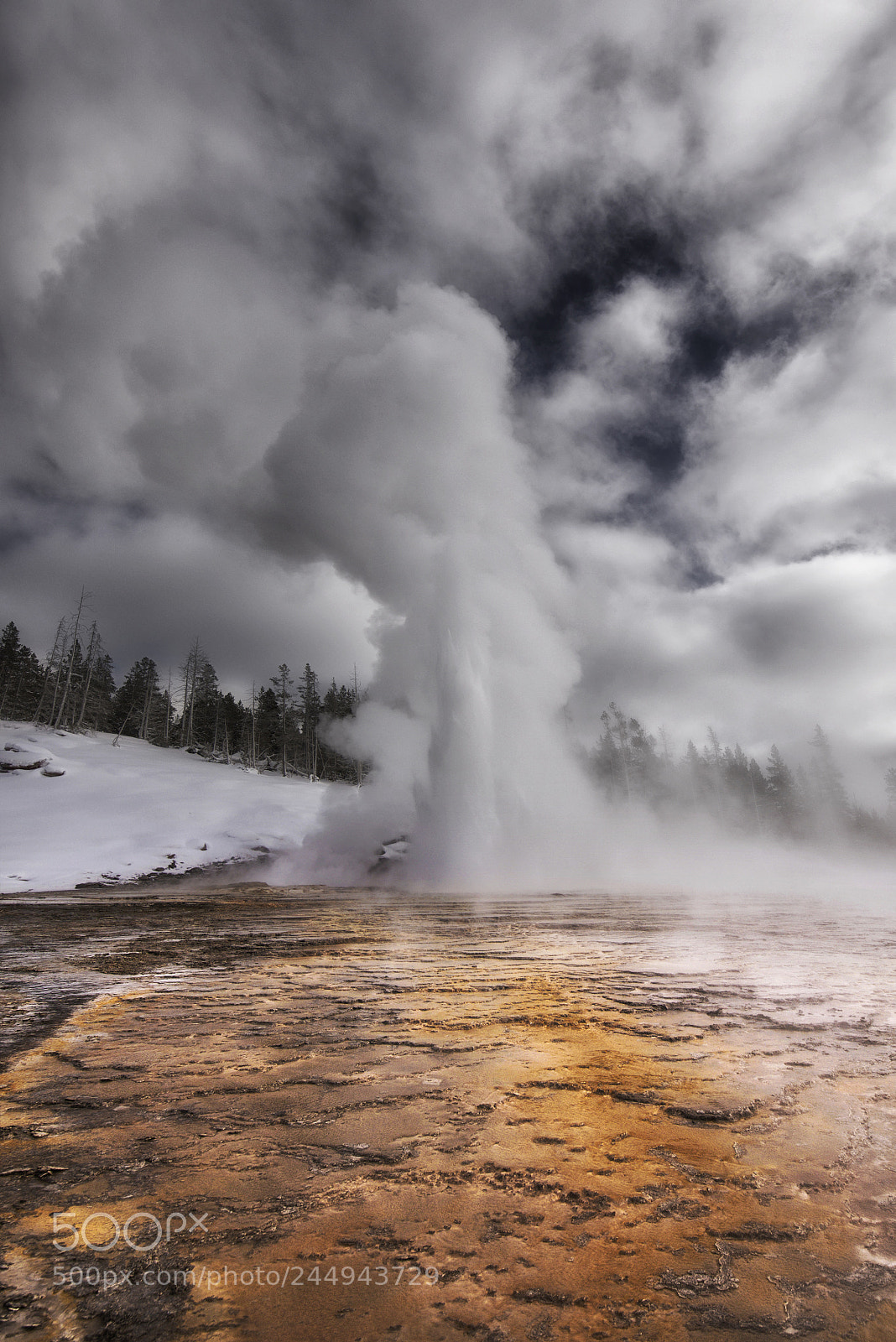 Nikon D810 sample photo. Winter in yellowstone seven photography
