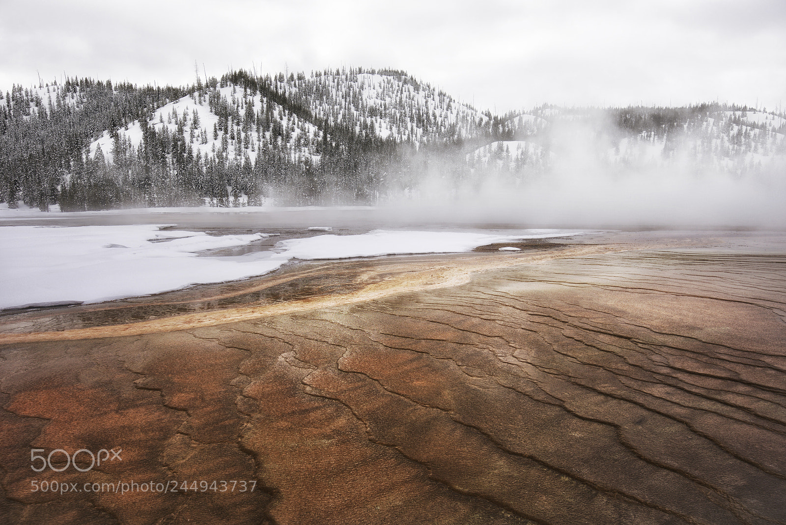 Nikon D810 sample photo. Winter in yellowstone seven photography