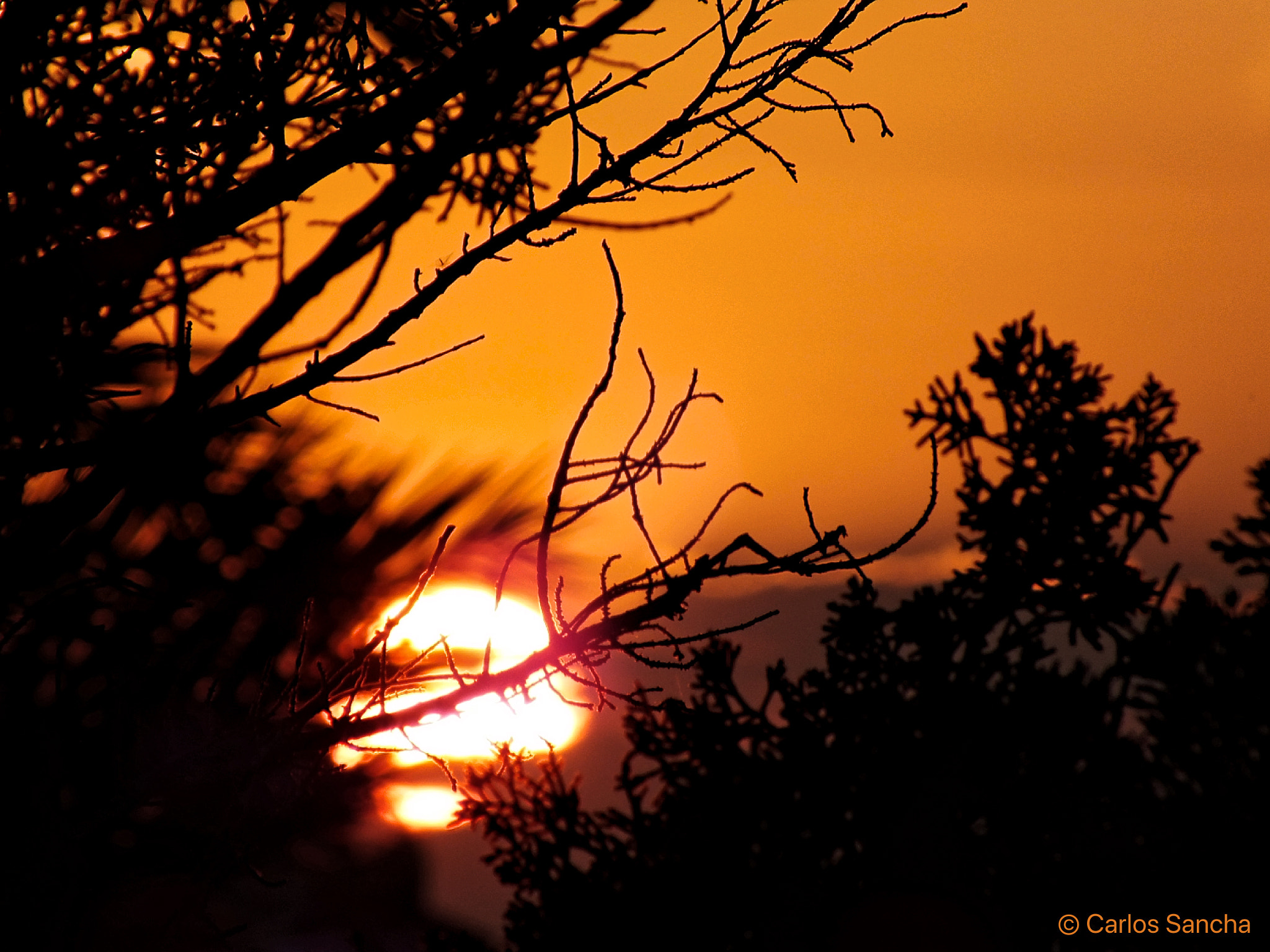 Fujifilm FinePix HS35EXR sample photo. Puesta de sol photography