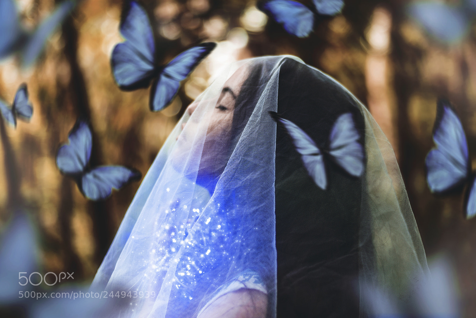 Nikon D610 sample photo. Untitled photography