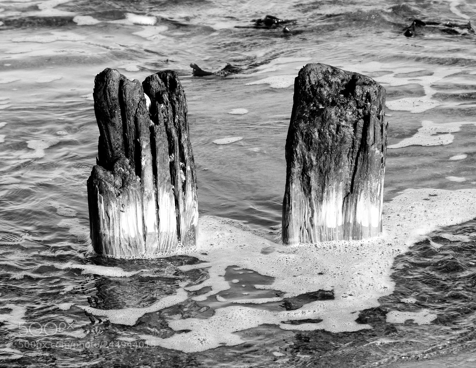 Pentax K-30 sample photo. Wooden twins of the photography