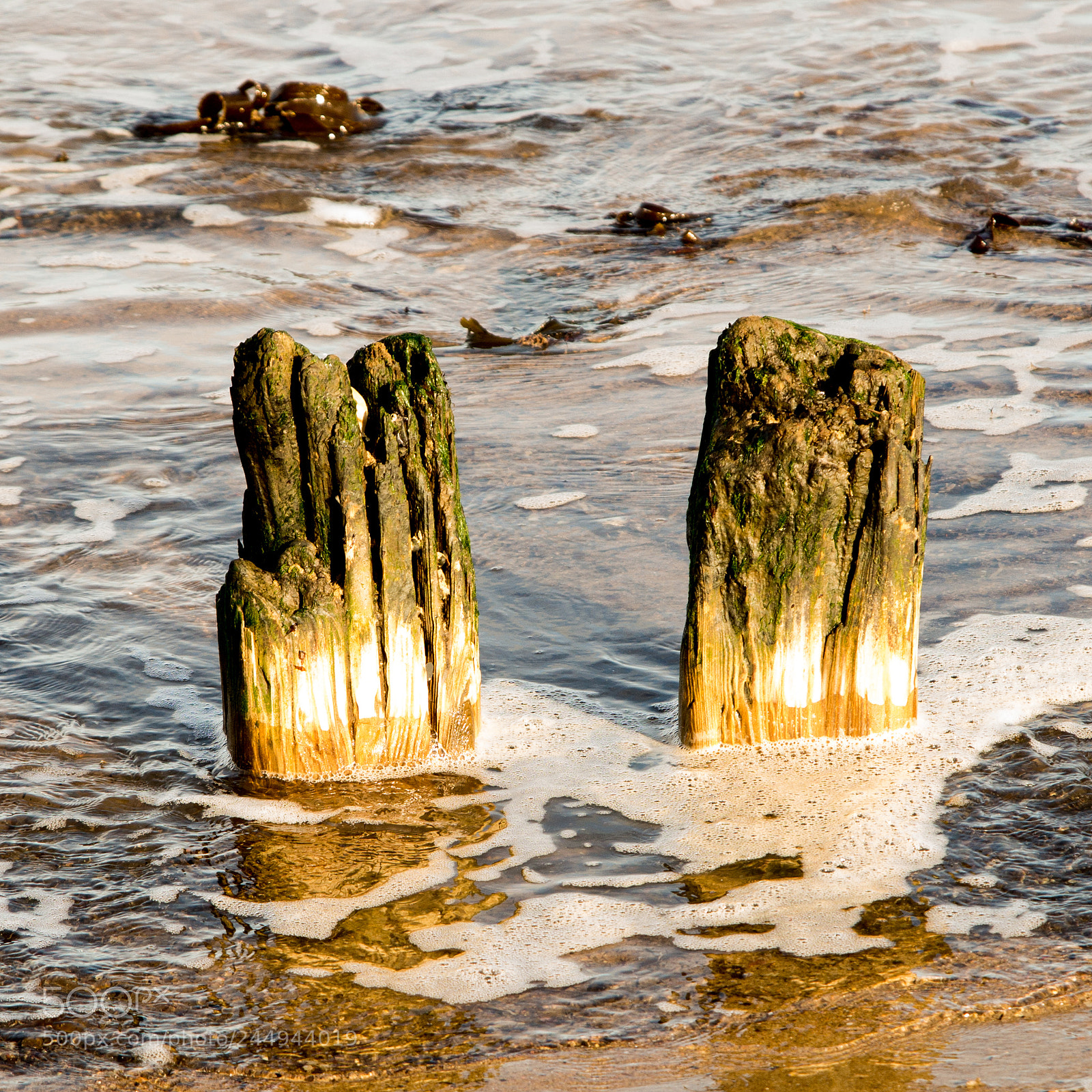 Pentax K-30 sample photo. Wooden twins of the photography