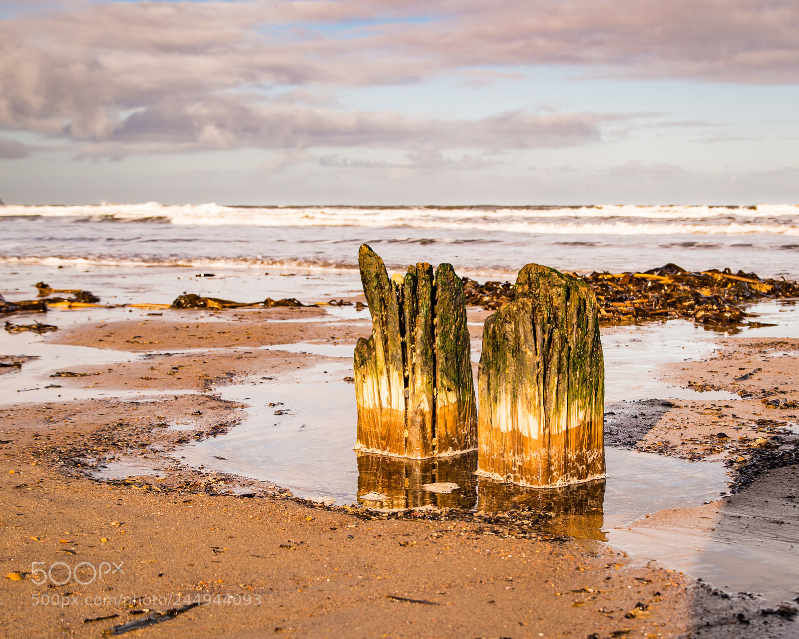 Pentax K-30 sample photo. Wood and sea #2 photography