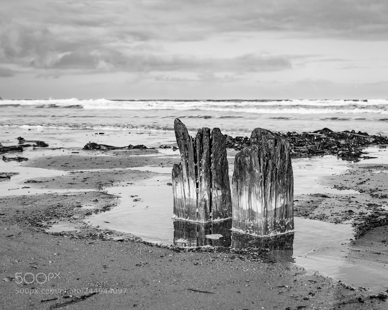Pentax K-30 sample photo. Wood and sea 2 photography