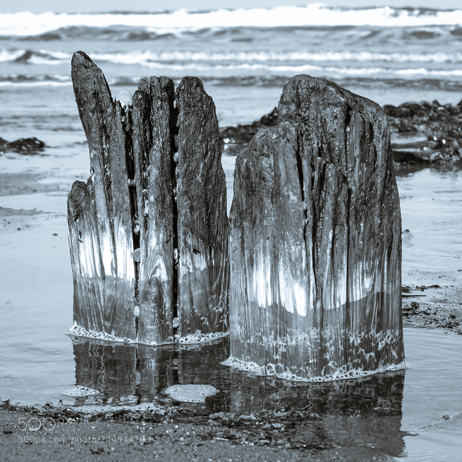 Pentax K-30 sample photo. Wood and sea 01 photography