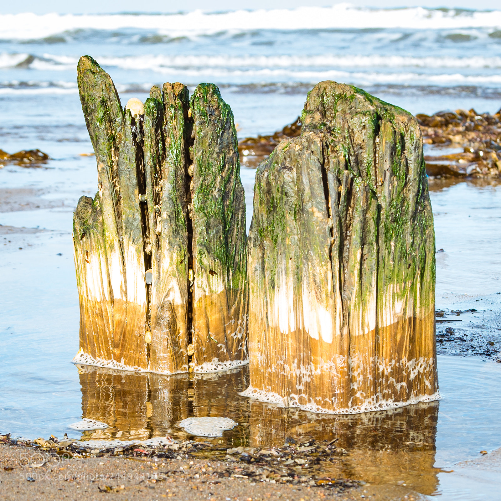 Pentax K-30 sample photo. Wood and sea 01 photography