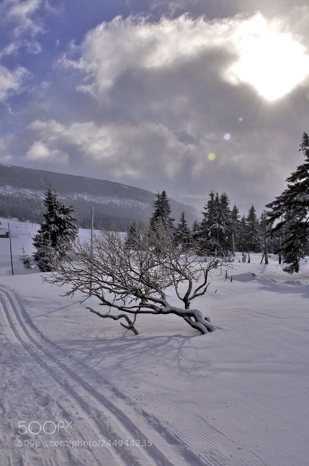 Nikon D90 sample photo. Spindlerovka photography