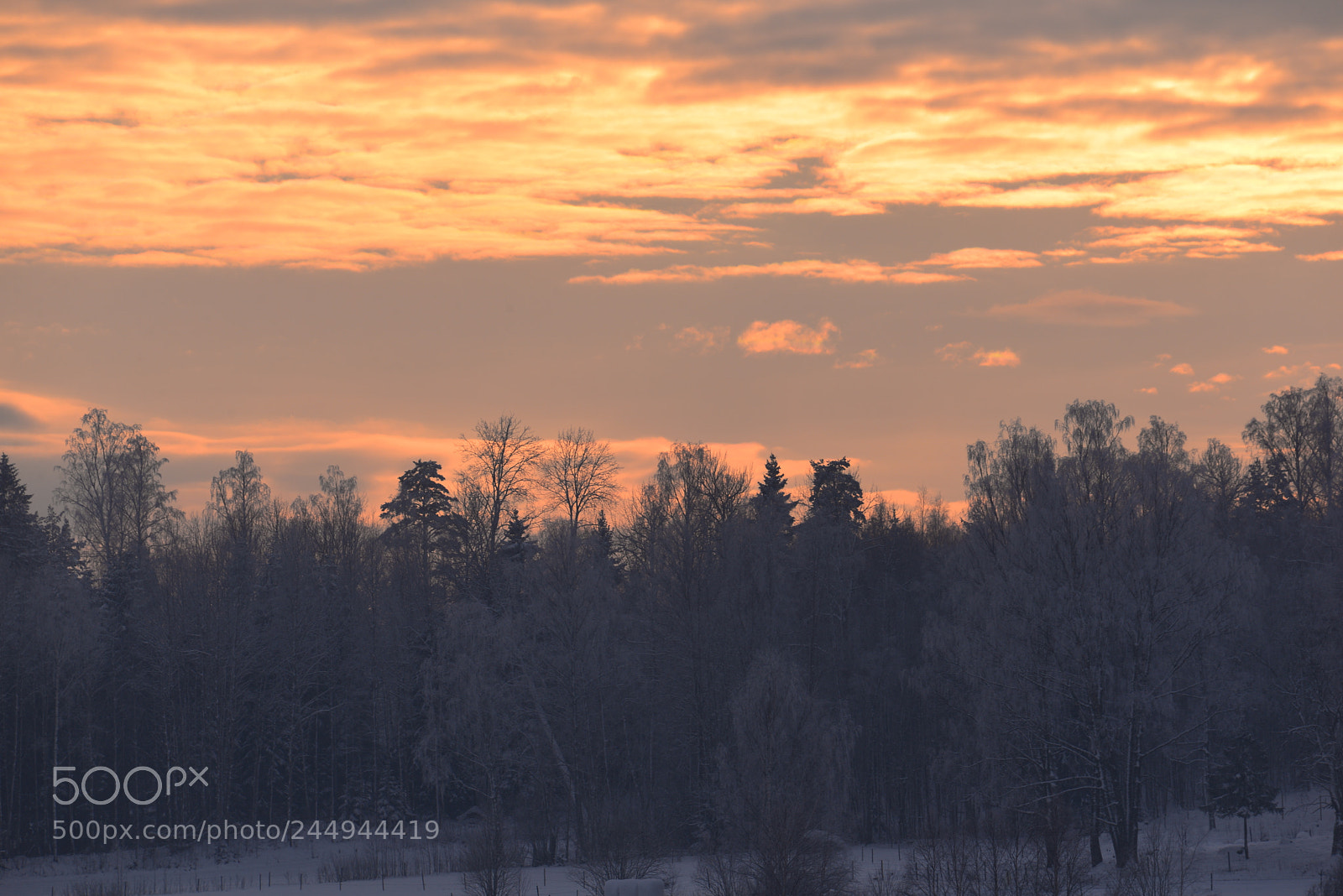 Nikon D610 sample photo. Afternoon sky photography