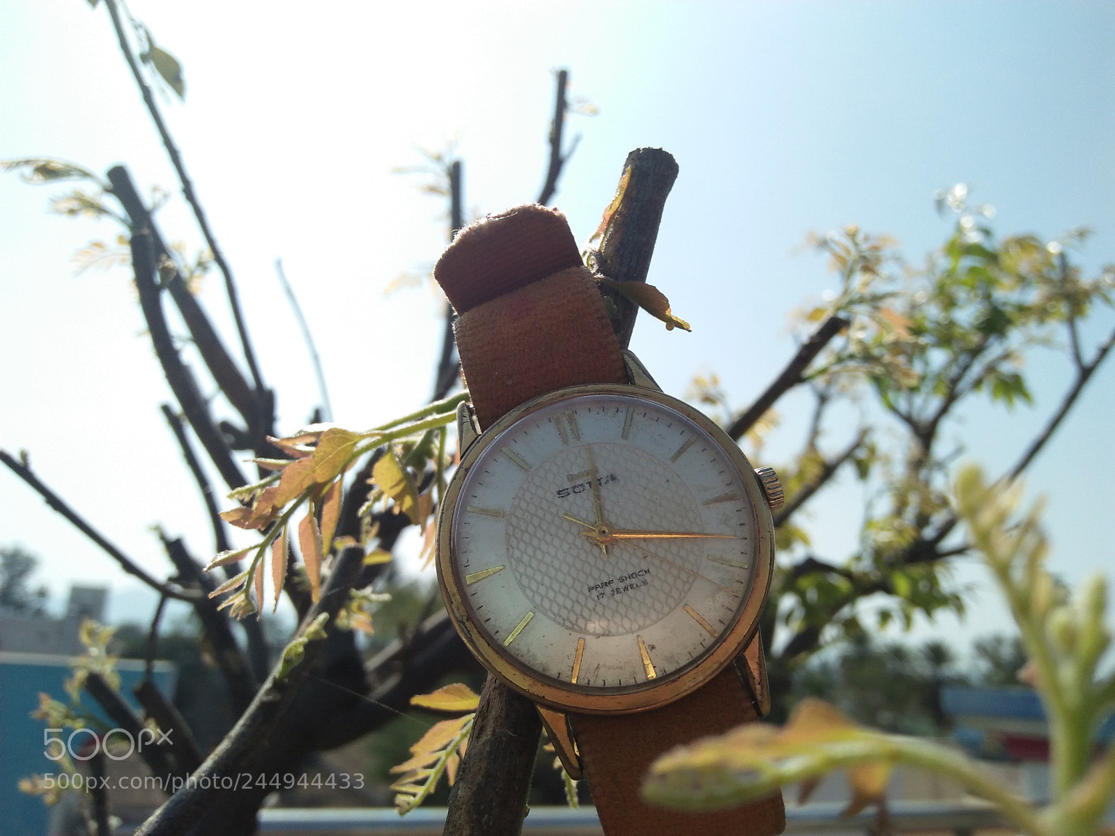 OPPO A37fw-International sample photo. Untitled photography