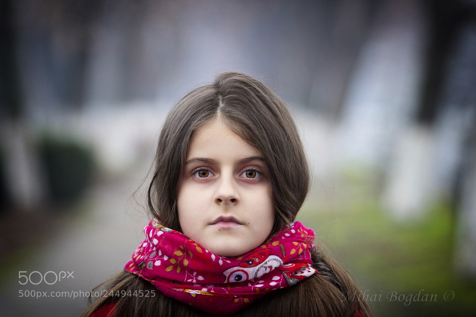 Canon EOS 60D sample photo. Dv photography