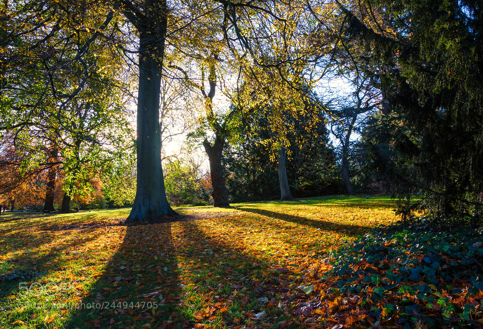 Nikon D7200 sample photo. Edinburgh botanic garden photography