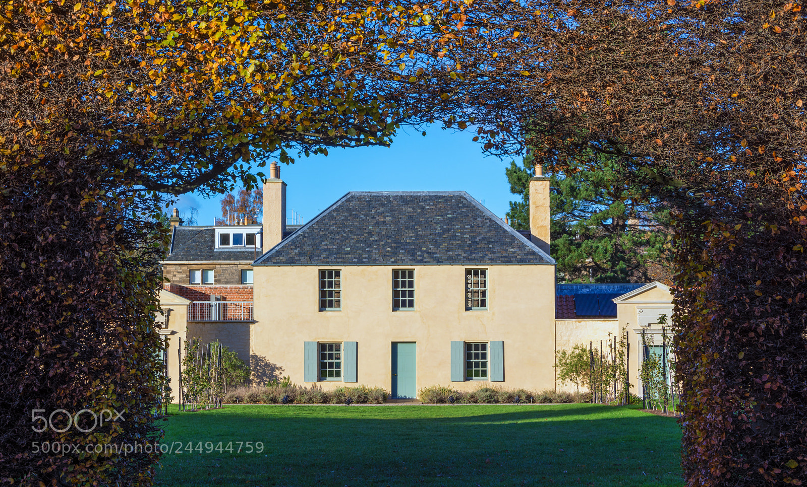 Nikon D7200 sample photo. Edinburgh botanic garden photography