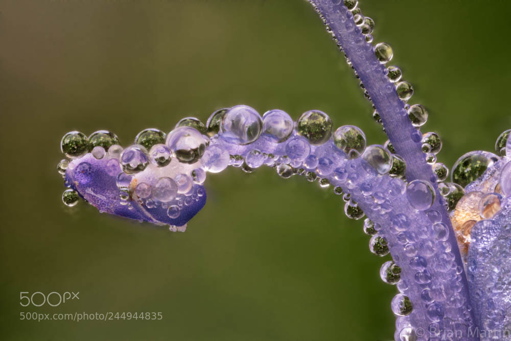 Sony a7R II sample photo. Zs pmax edit photography