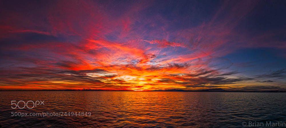 Sony a7R III sample photo. Dsc04653-8-2.jpg photography