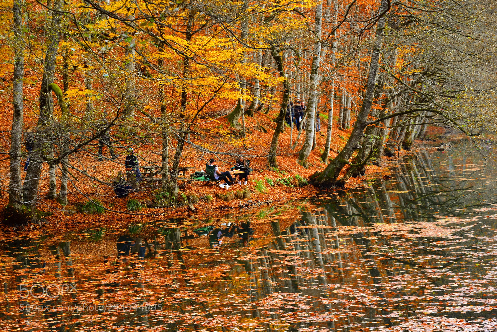 Nikon D600 sample photo. Untitled photography