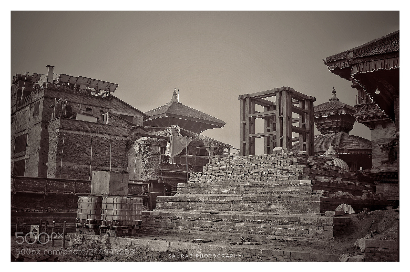 Nikon D5100 sample photo. The phoenix never dies photography