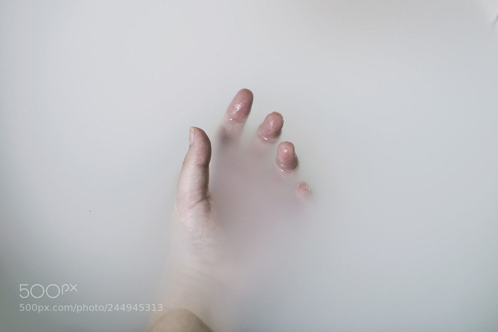 Nikon D610 sample photo. Untitled photography