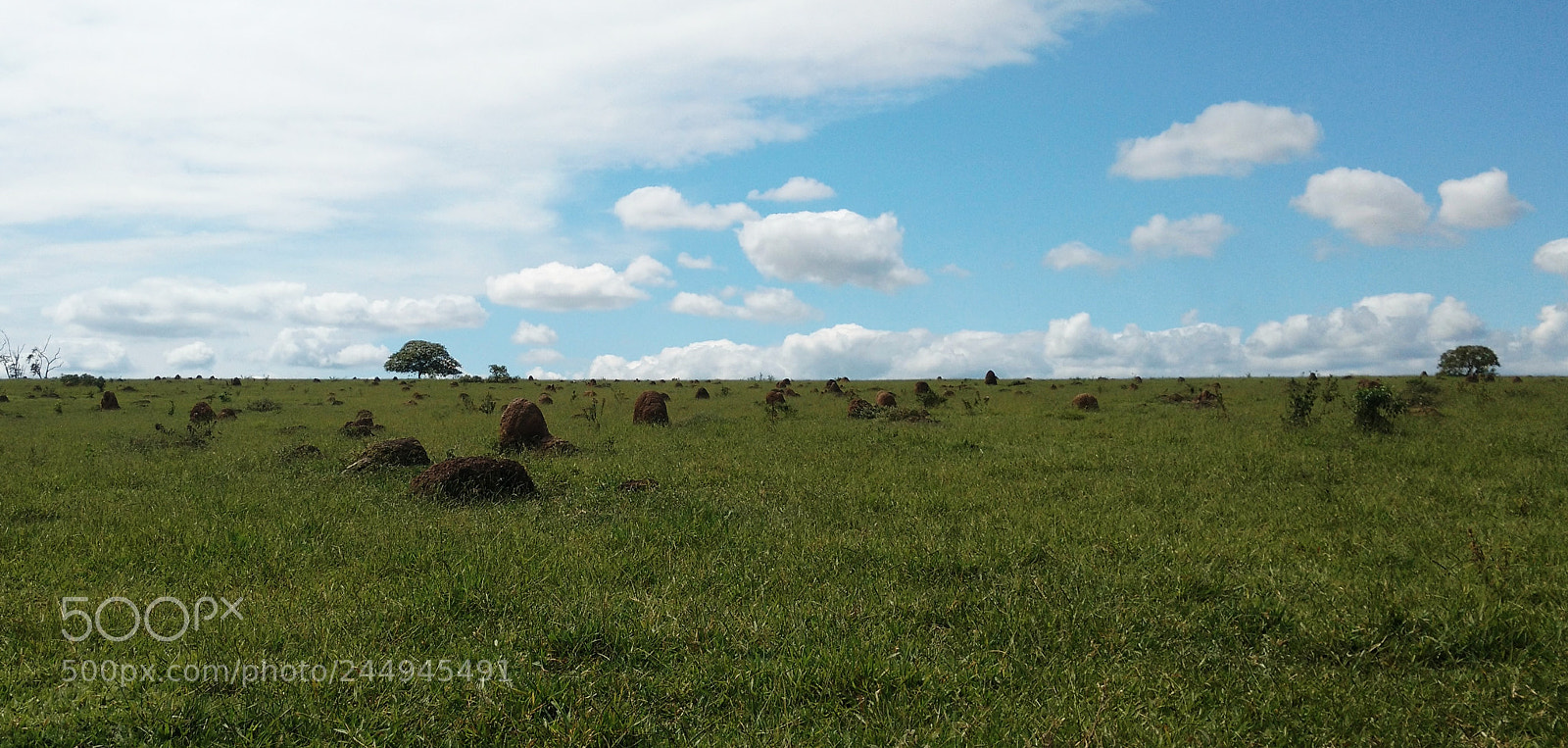 Motorola Moto X Play sample photo. S o jos dos photography