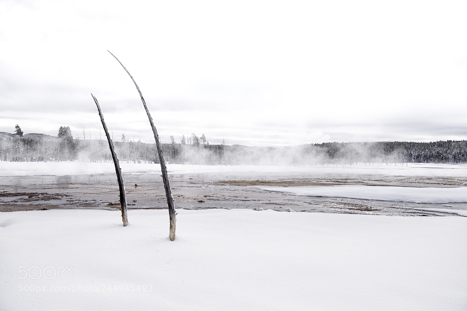 Nikon D810 sample photo. Snowblind one photography