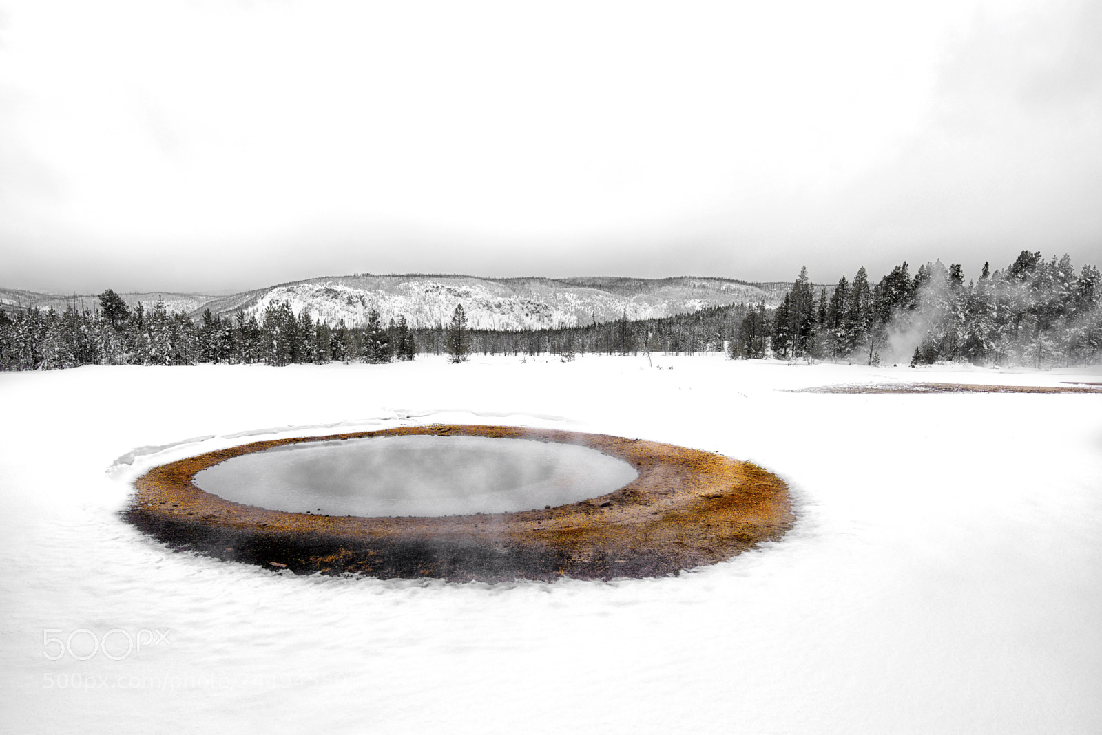 Nikon D810 sample photo. Snowblind four photography