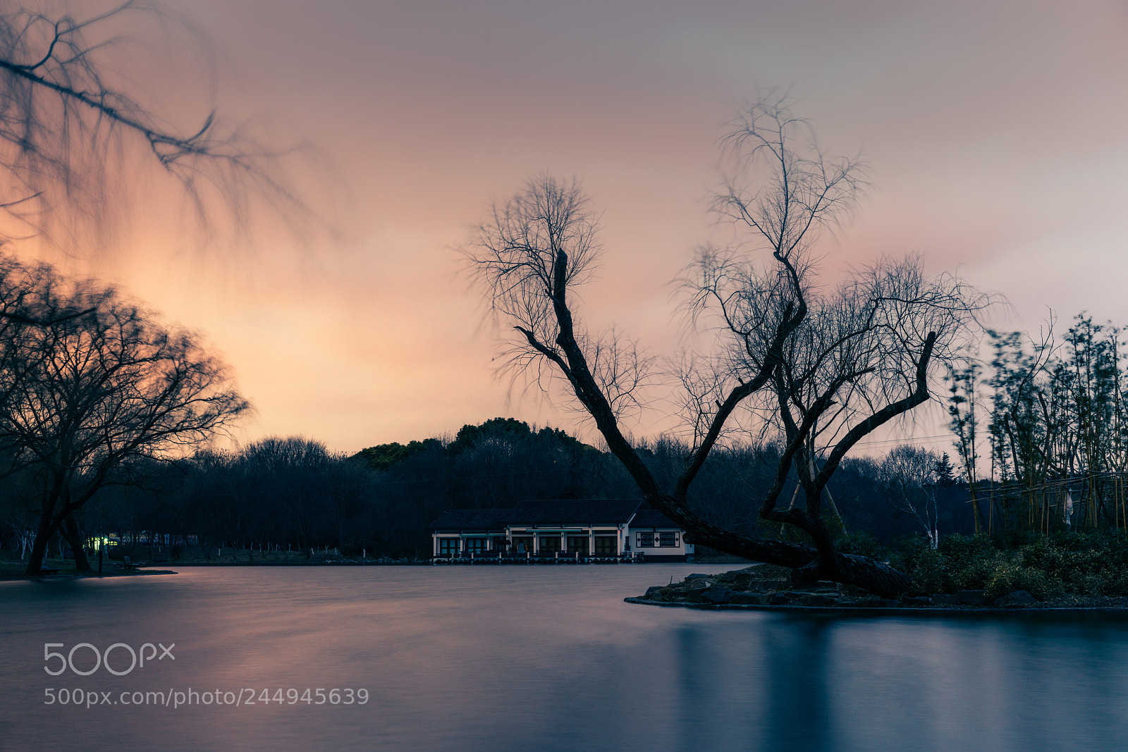 Sony a7R II sample photo. 夕阳湖面 photography