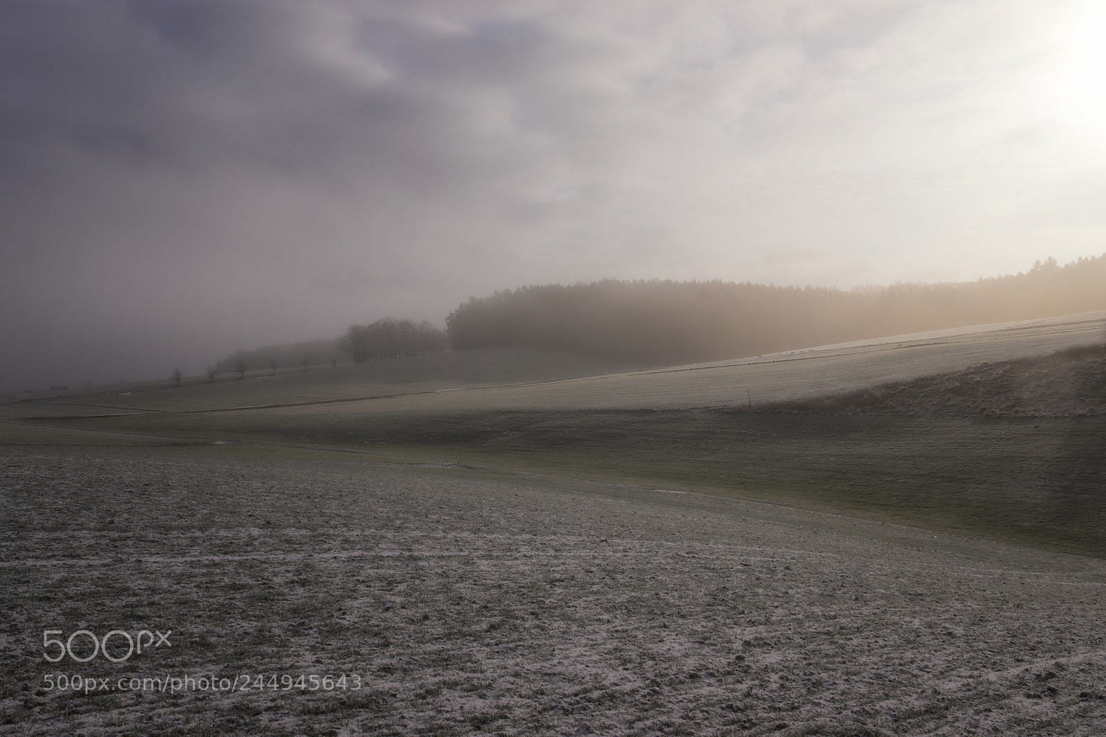 Canon EOS 200D (EOS Rebel SL2 / EOS Kiss X9) sample photo. Frosty morning photography