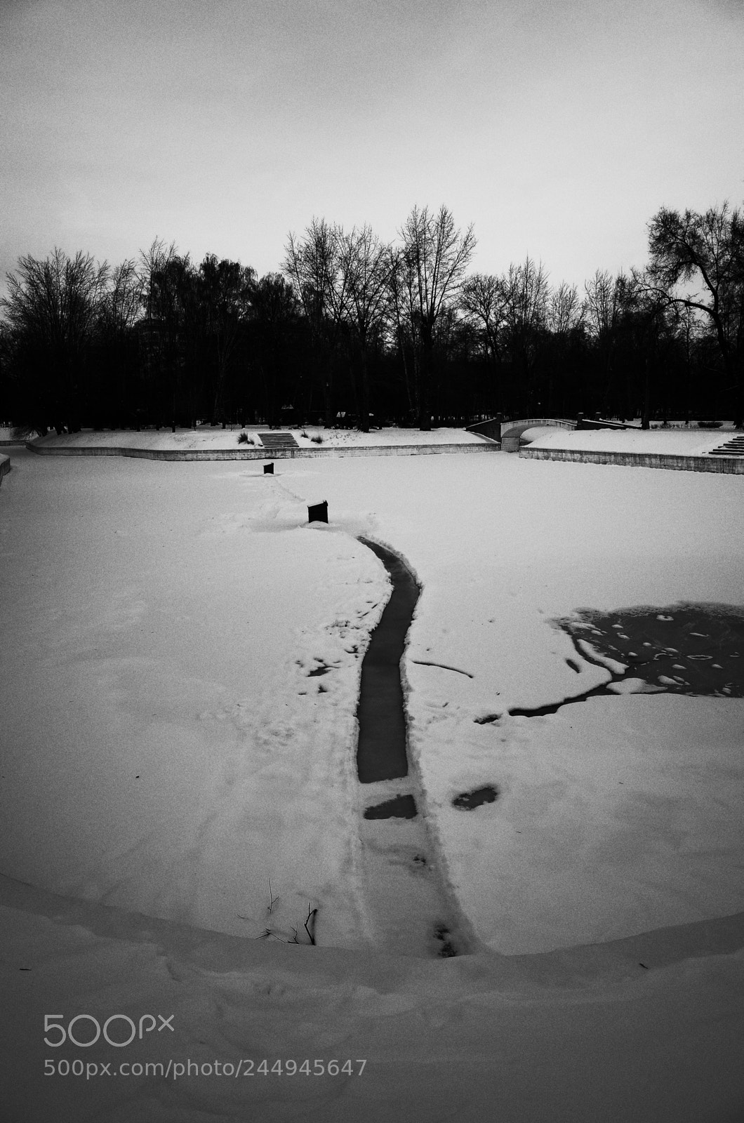 Ricoh GR II sample photo. Winter graphics 2 photography