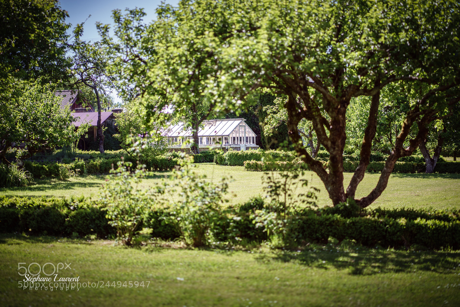 Sony a7 sample photo. The garden photography