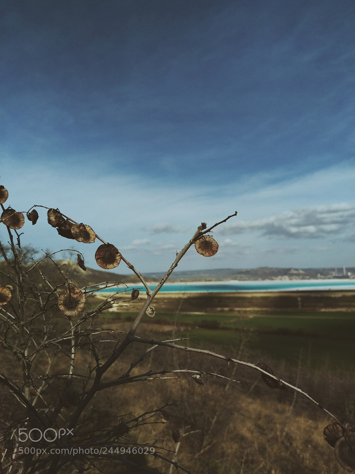 HTC ONE M9 sample photo. Close up nature photography
