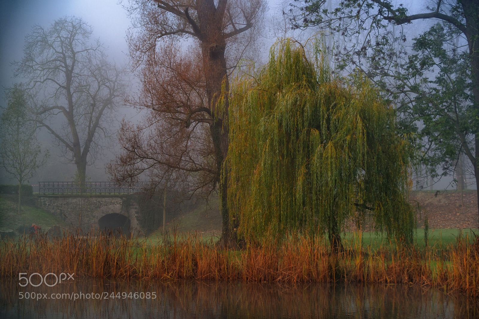 Pentax K-1 sample photo. Stromovka park. photography