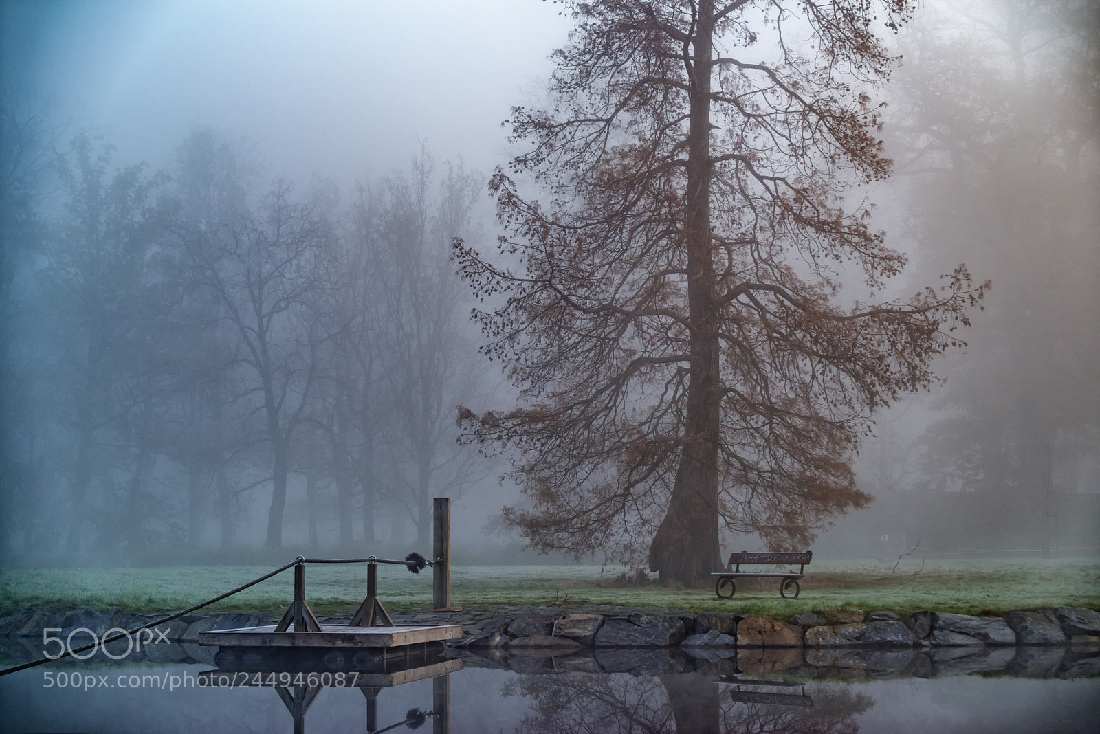 Pentax K-1 sample photo. Stromovka park. photography