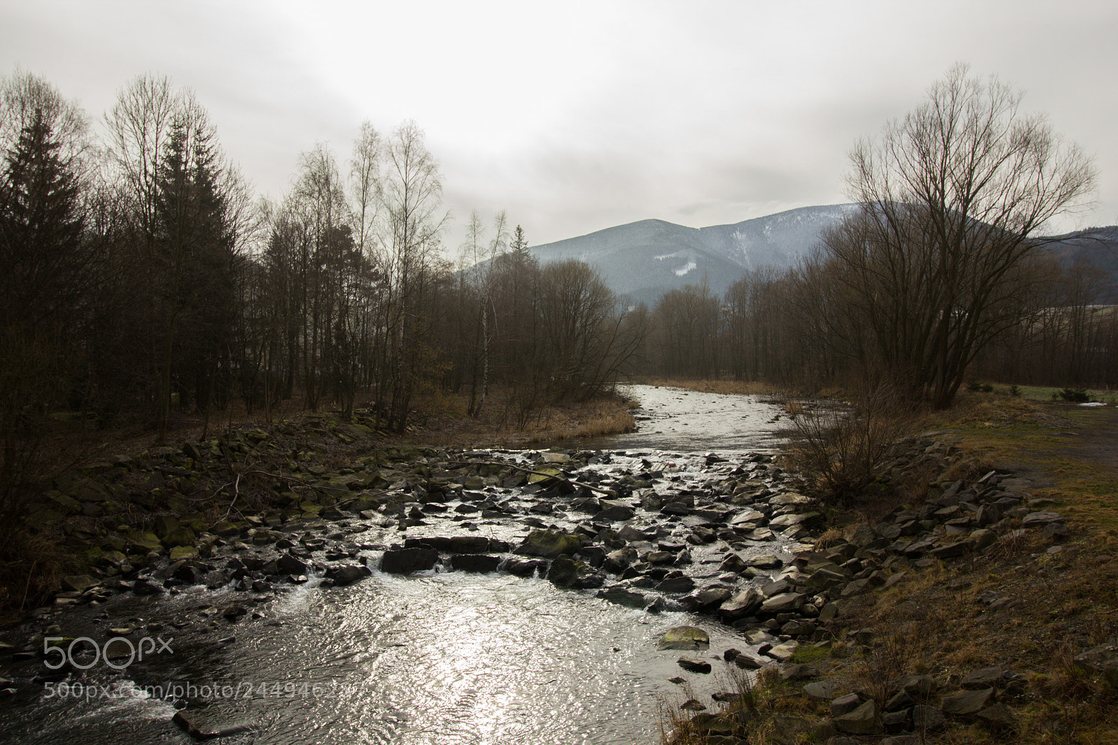 Canon EOS 550D (EOS Rebel T2i / EOS Kiss X4) sample photo. The river and the photography