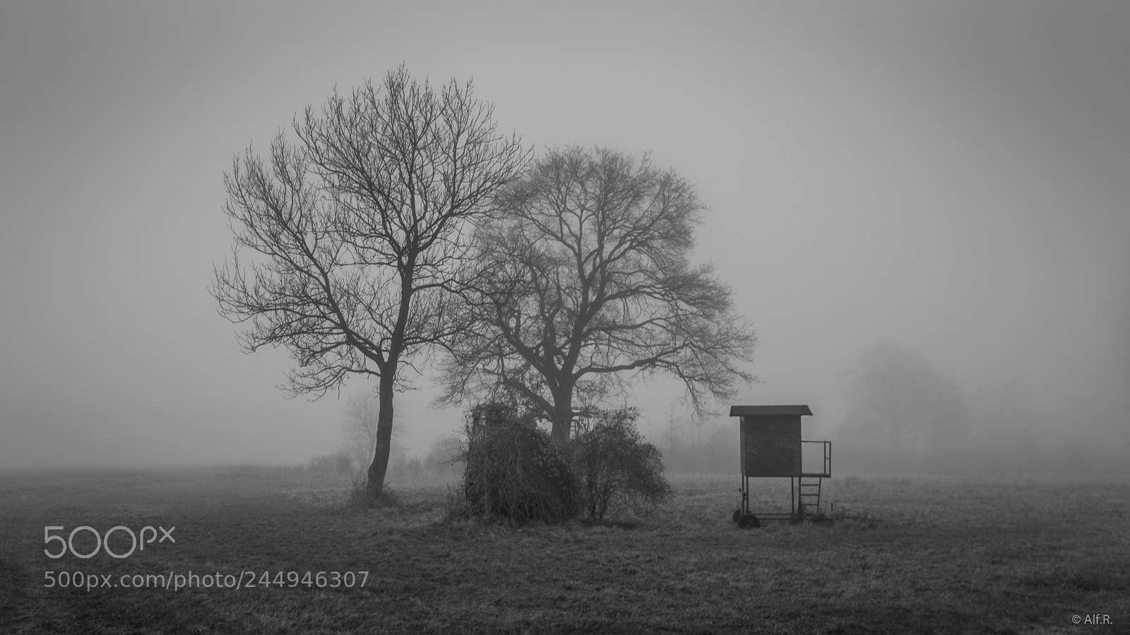 Sony a6500 sample photo. House in the fog photography