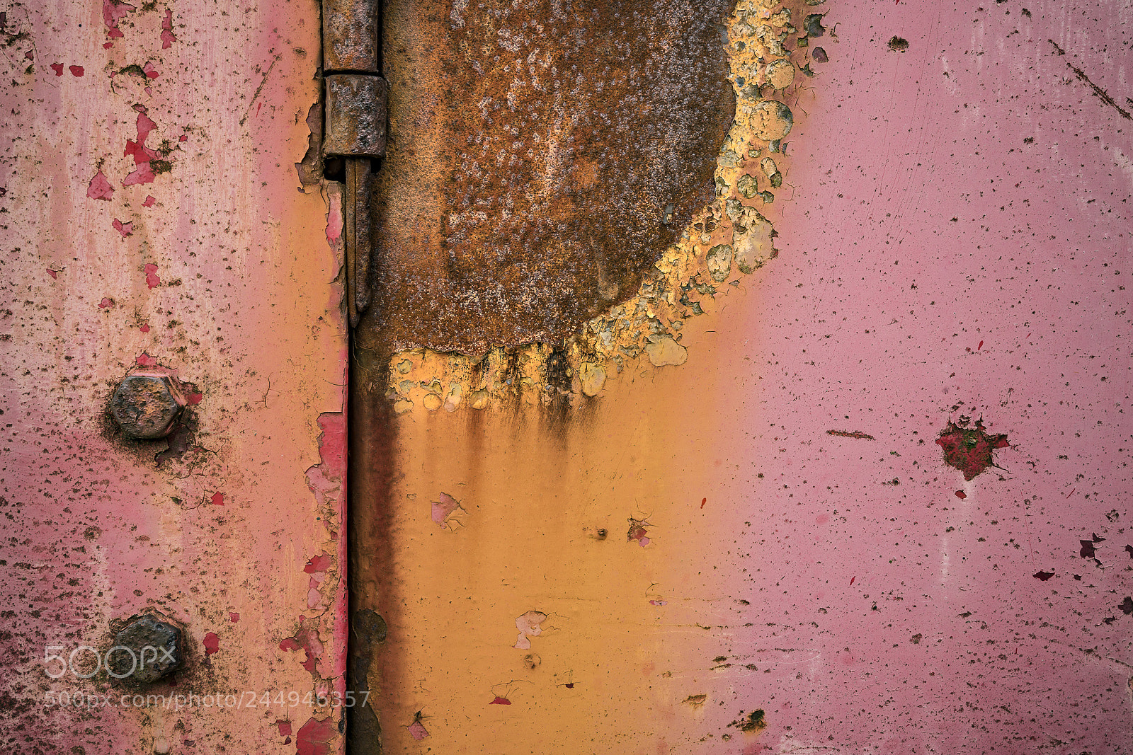 Sony a7R III sample photo. Sunflower rust photography
