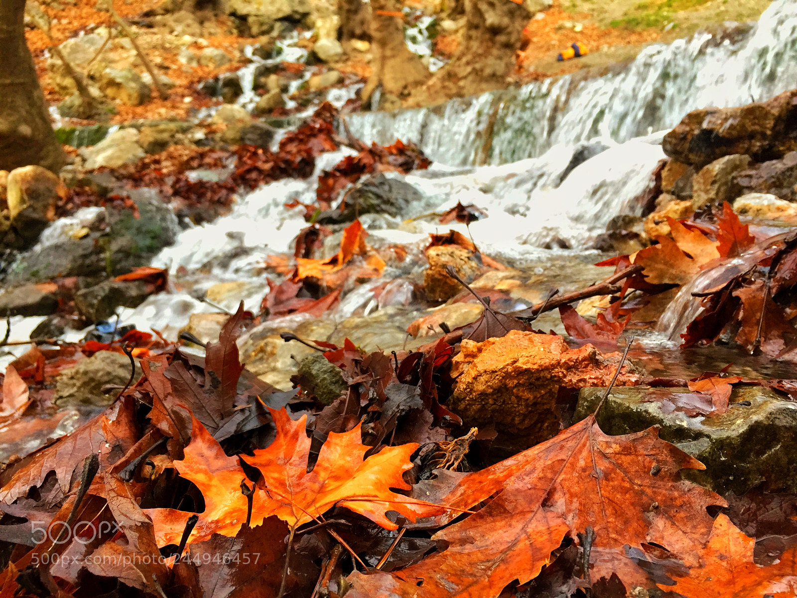 Apple iPhone 6 sample photo. Stream photography