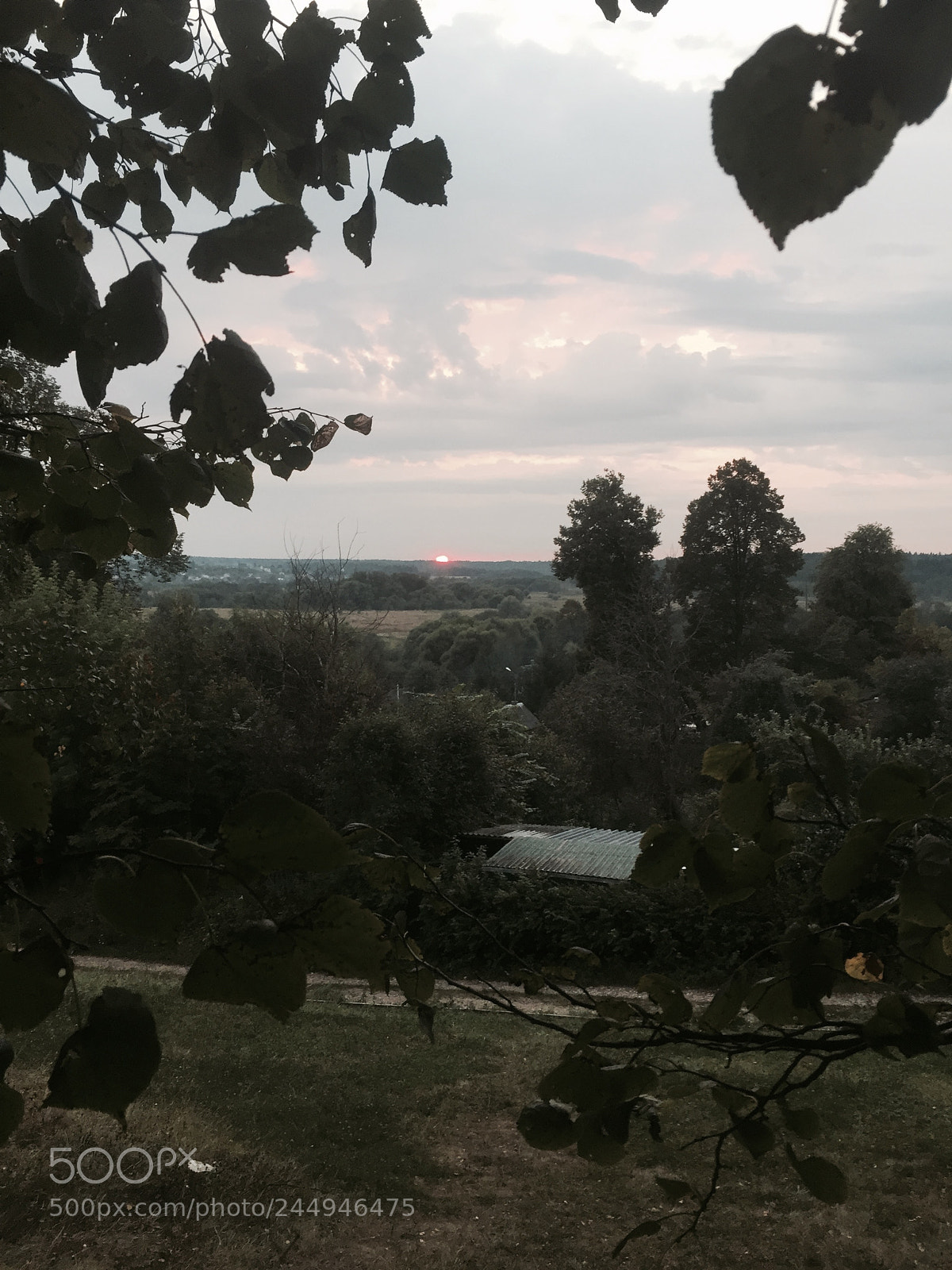 Apple iPhone 6 sample photo. Untitled photography