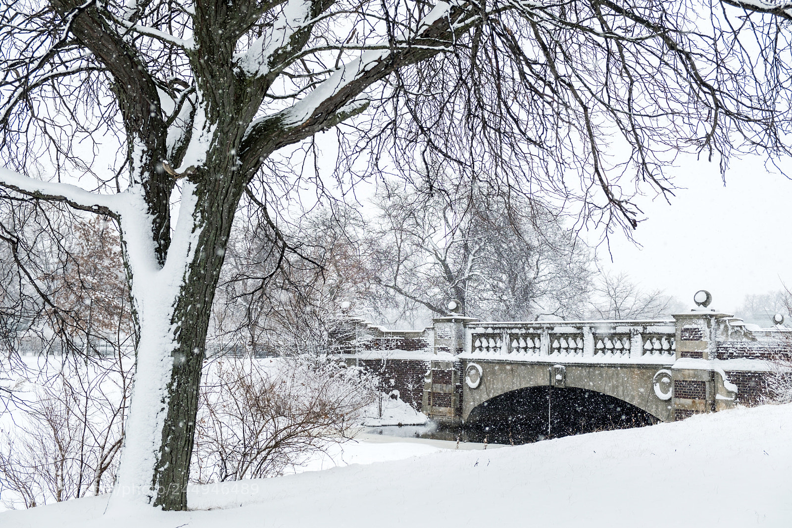 Fujifilm X-T2 sample photo. Bridge at belle isle photography
