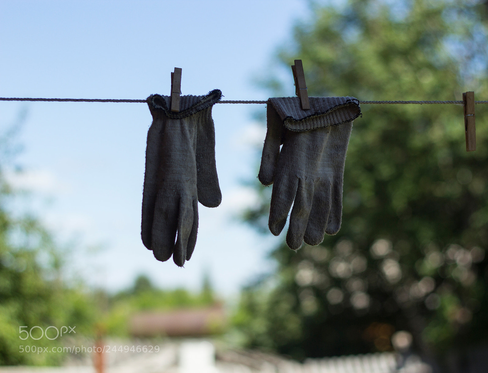 Canon EOS 60D sample photo. Two gloves photography