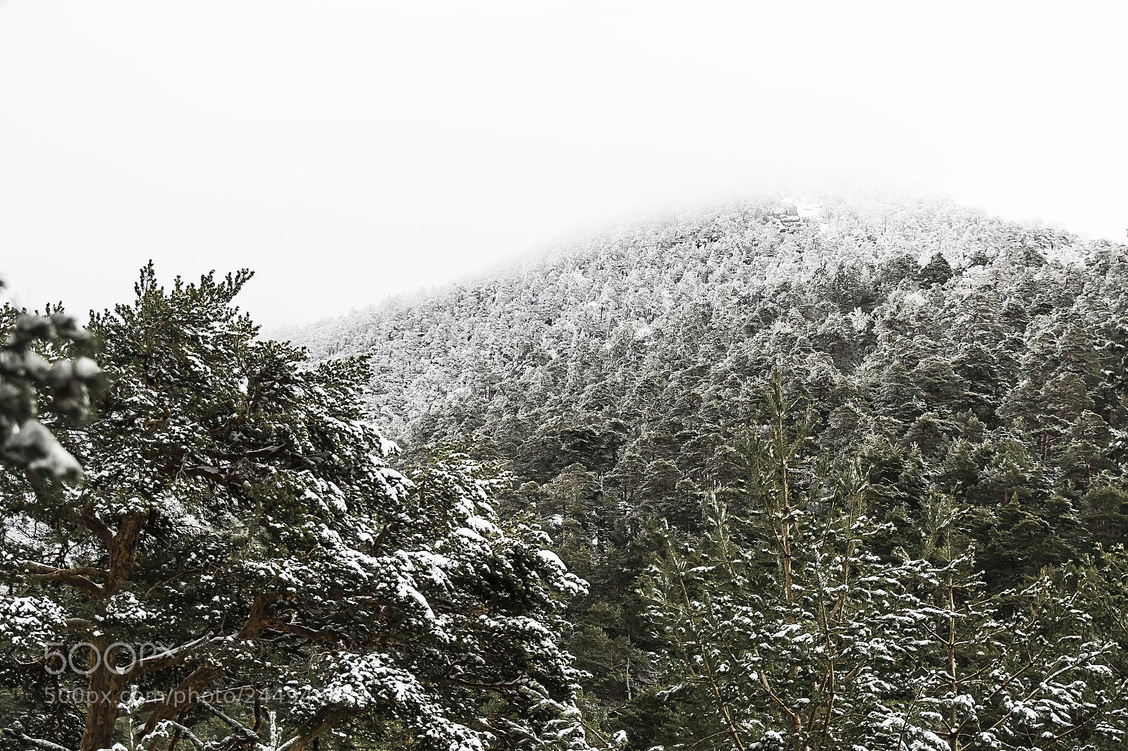 Olympus OM-D E-M10 sample photo. Cercedilla photography