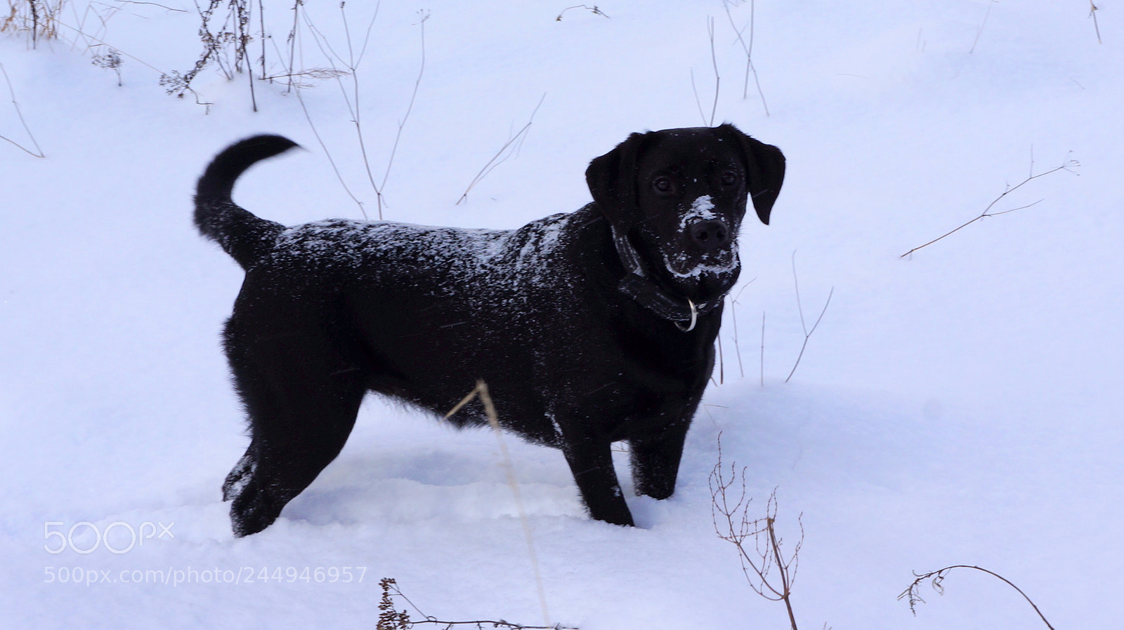 Sony Alpha NEX-5N sample photo. Я здесь. photography