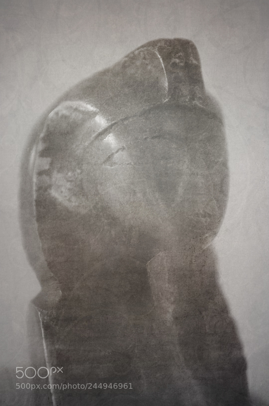 Nikon D5100 sample photo. King tut photography