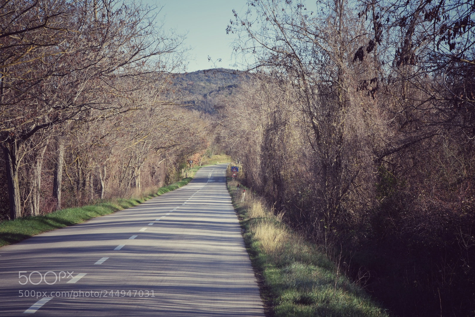 Nikon D3400 sample photo. On the road photography