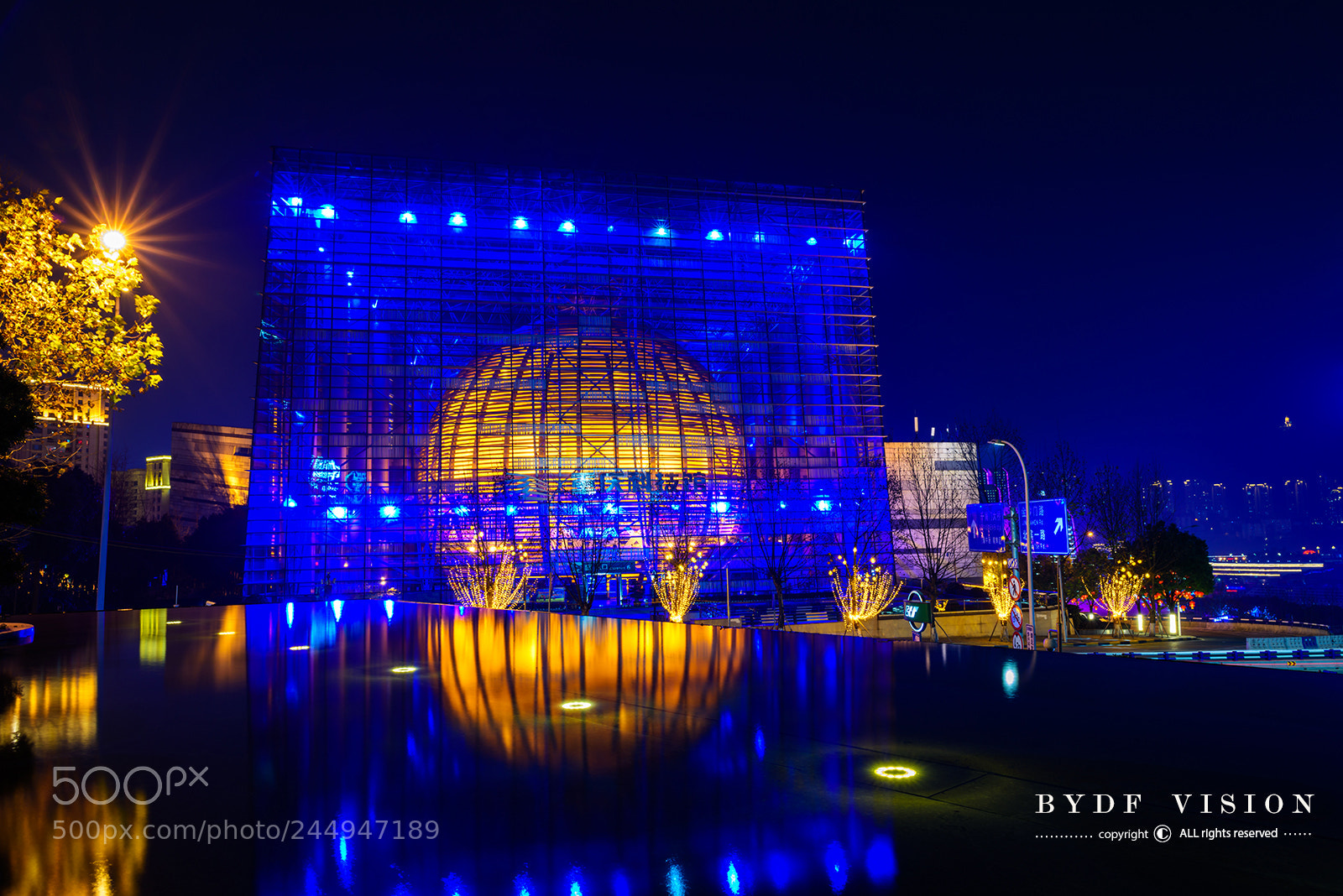 Nikon D810 sample photo. Untitled photography